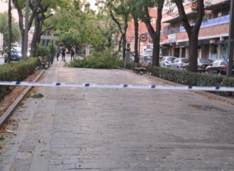 Cerrados los parques y el Zoo de Guadalajara ante el aviso amarillo por nevadas y fuertes vientos