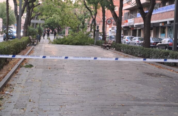 Cerrados los parques y el Zoo de Guadalajara ante el aviso amarillo por nevadas y fuertes vientos