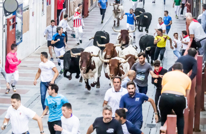 La plaza de toros y los encierros de Guadalajara salen a concurso para los años 2026 y 2027