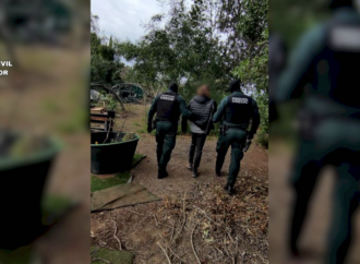 Ciberataques / Detenido en Alcalá de Henares el líder de los hackers de ‘Anonymous Fenix’