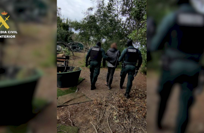 Ciberataques / Detenido en Alcalá de Henares el líder de los hackers de ‘Anonymous Fenix’