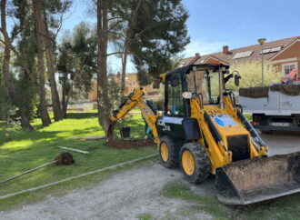 El Ayuntamiento de Alcalá informa que realizó 6.286 podas y 640 talas de árboles desde 2025