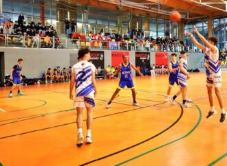 Gran fiesta del baloncesto en Alcalá, este domingo, con las finales de las categorías Élite