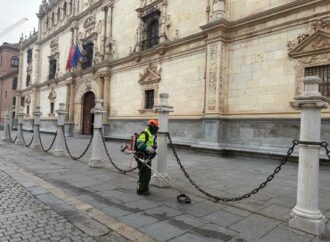El Ayuntamiento de Alcalá de Henares inicia en marzo la campaña anual de desbroce con actuaciones en toda la ciudad