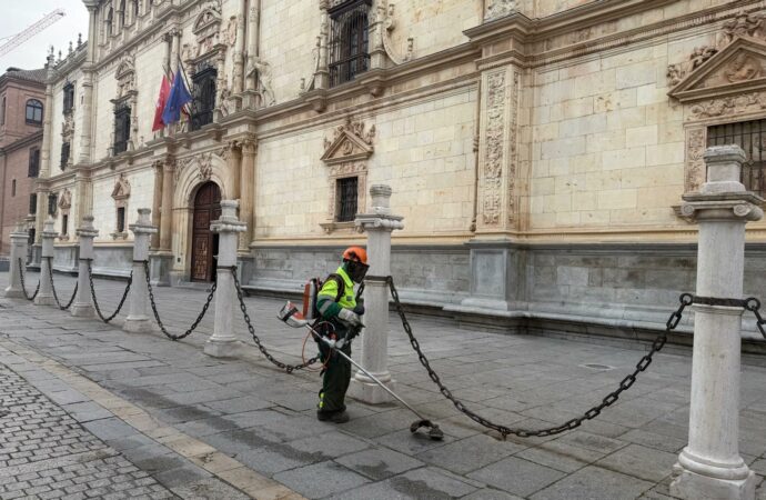 El Ayuntamiento de Alcalá de Henares inicia en marzo la campaña anual de desbroce con actuaciones en toda la ciudad