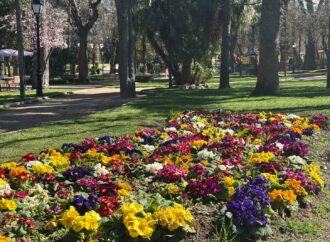 El Ayuntamiento de Guadalajara plantará 140 árboles y 27.000 flores esta primavera