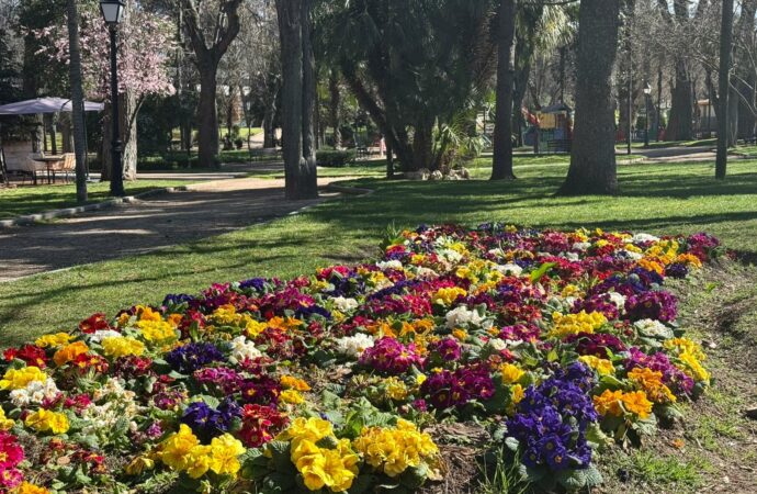 El Ayuntamiento de Guadalajara plantará 140 árboles y 27.000 flores esta primavera