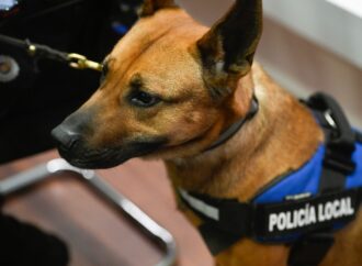 Control de drogas: Alcalá intensifica los controles con su unidad canina en entornos escolares y zonas sensibles al menudeo