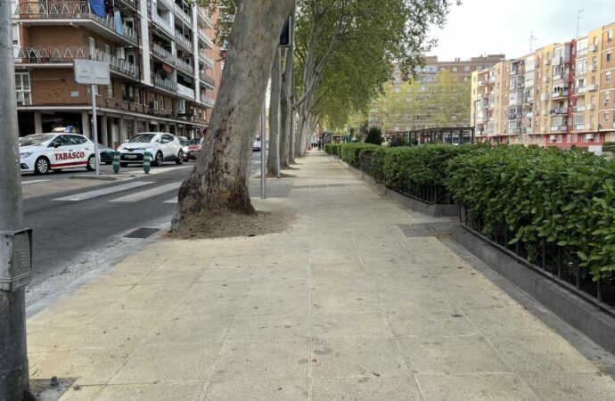 Finalizada en Alcalá la renovación de aceras en la calle Caballería Española