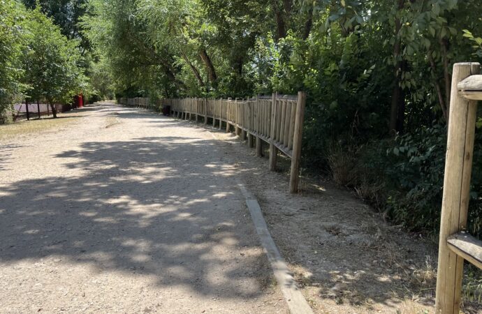 Alcalá impulsa la recuperación ambiental y social del Camarmilla