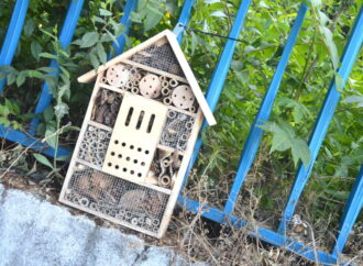 Medio Ambiente / El CEIP Iplacea de Alcalá ya cuenta con un hotel de insectos