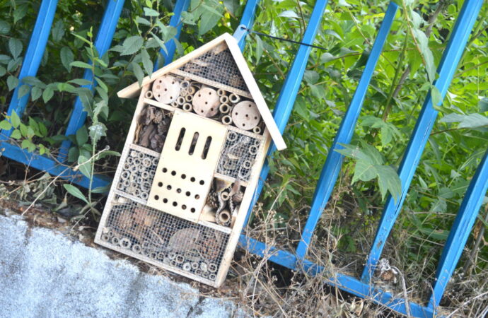 Medio Ambiente / El CEIP Iplacea de Alcalá ya cuenta con un hotel de insectos