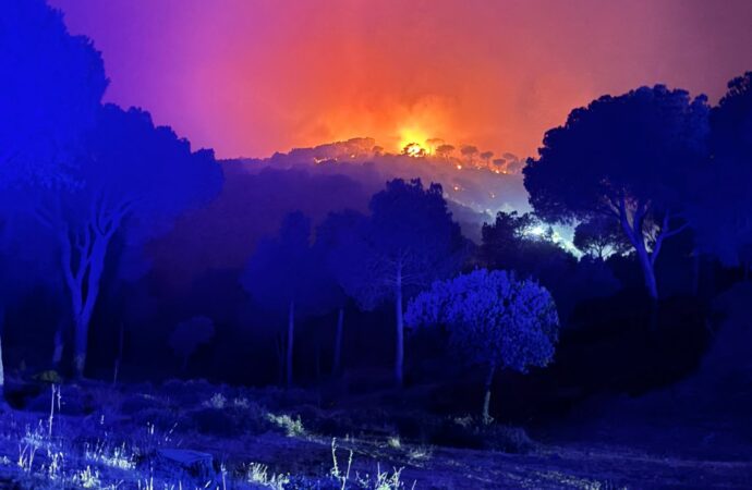 Protección Civil de Alcalá participa en las labores de extinción del incendio próximo al embalse de San Juan