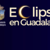 Plantilla publicación post