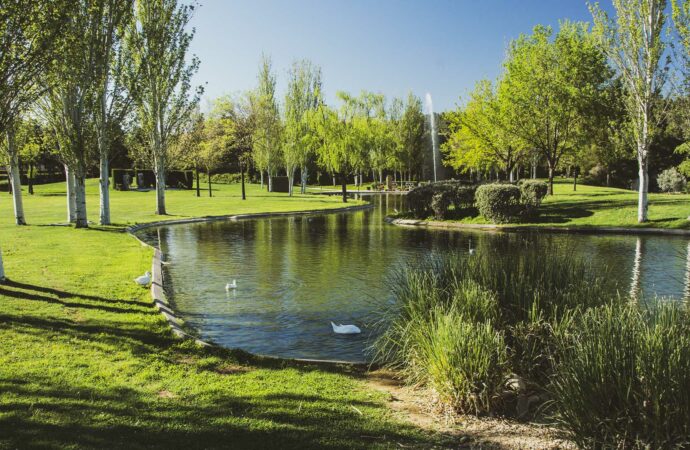 Horarios Cementerios de Alcalá de Henares con motivo del Día de Todos los Santos